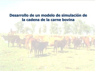 Desarrollo de un modelo de simulación de
la cadena de la carne bovina
 