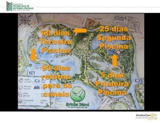 5 dias
Primeira
Piscina
25 dias
Segunda
Piscina
60 dias
Terceira
Piscina
90 dias
retorna
para os
canais
 