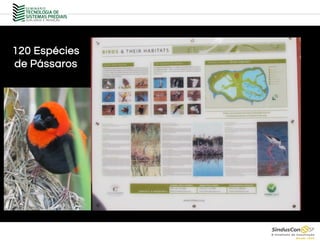 120 Espécies
de Pássaros
 