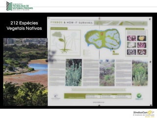 212 Espécies
Vegetais Nativas
 