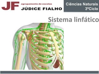Ciências Naturais
3ºCiclo
Sistema linfático
 