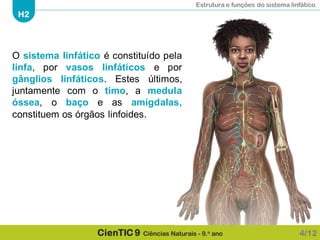 Estrutura e funções do sistema linfático
H2
CienTIC 9 Ciências Naturais - 9.o ano
O sistema linfático é constituído pela
linfa, por vasos linfáticos e por
gânglios linfáticos. Estes últimos,
juntamente com o timo, a medula
óssea, o baço e as amígdalas,
constituem os órgãos linfoides.
4/12
 