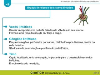 Estrutura e funções do sistema linfático
H2
CienTIC 9 Ciências Naturais - 9.o ano
Vasos linfáticos
Canais transportadores de linfa dotados de válvulas no seu interior.
Formam uma rede distribuída por todo o corpo.
Gânglios linfáticos
Pequenos órgãos, perfurados por canais, distribuídos por diversos pontos da
rede linfática.
São locais de acumulação e proliferação de linfócitos.
Timo
Órgão localizado junto ao coração, importante para o desenvolvimento dos
linfócitos.
É muito reduzido no adulto.
Órgãos linfoides e do sistema linfático
5/12
 