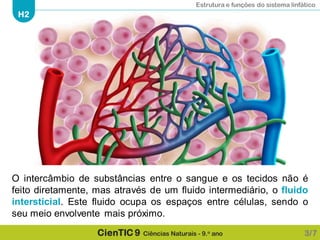 Estrutura e funções do sistema linfático
H2
CienTIC 9 Ciências Naturais - 9.o ano
O intercâmbio de substâncias entre o sangue e os tecidos não é
feito diretamente, mas através de um fluido intermediário, o fluido
intersticial. Este fluido ocupa os espaços entre células, sendo o
seu meio envolvente mais próximo.
3/7
 
