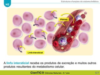 Estrutura e funções do sistema linfático
H2
CienTIC 9 Ciências Naturais - 9.o ano 5/7
A linfa intersticial recebe os produtos de excreção e muitos outros
produtos resultantes do metabolismo celular.
Plasma
Linfa intersticial
 