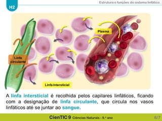 Estrutura e funções do sistema linfático
H2
CienTIC 9 Ciências Naturais - 9.o ano 6/7
A linfa intersticial é recolhida pelos capilares linfáticos, ficando
com a designação de linfa circulante, que circula nos vasos
linfáticos até se juntar ao sangue.
Plasma
Linfa intersticial
Linfa
circulante
 