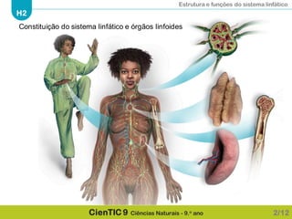 Estrutura e funções do sistema linfático
H2
CienTIC 9 Ciências Naturais - 9.o ano 2/12
Constituição do sistema linfático e órgãos linfoides
 