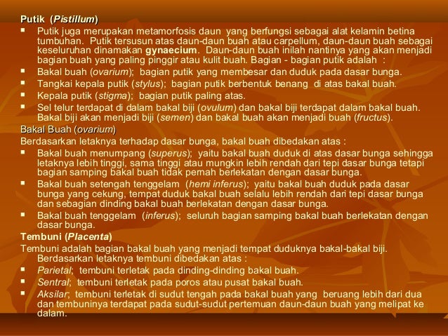 PPT Morfologi Tumbuhan - Simetri Bunga, Rumus Bunga, dan ...