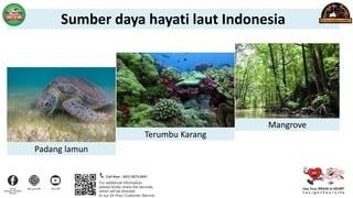 Padang lamun
Terumbu Karang
Mangrove
Sumber daya hayati laut Indonesia
 