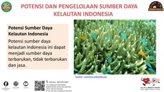 POTENSI DAN PENGELOLAAN SUMBER DAYA
KELAUTAN INDONESIA
Potensi Sumber Daya
Kelautan Indonesia
Potensi sumber daya
kelautan Indonesia ini dapat
menjadi sumber daya
terbarukan, tidak terbarukan
dan jasa.
Sumber : commons.wikipedia.org
 
