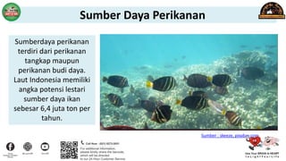 Sumber : skeeze, pixabay.com
Sumberdaya perikanan
terdiri dari perikanan
tangkap maupun
perikanan budi daya.
Laut Indonesia memiliki
angka potensi lestari
sumber daya ikan
sebesar 6,4 juta ton per
tahun.
Sumber Daya Perikanan
 