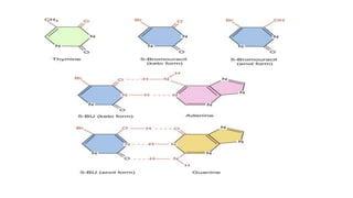 spontaneous and induced mutations | PPTX
