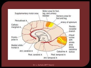 Dr. L. Surbala (MPT Neuro)
 
