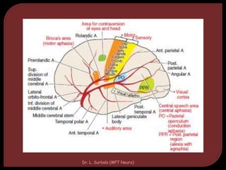 Dr. L. Surbala (MPT Neuro)
 
