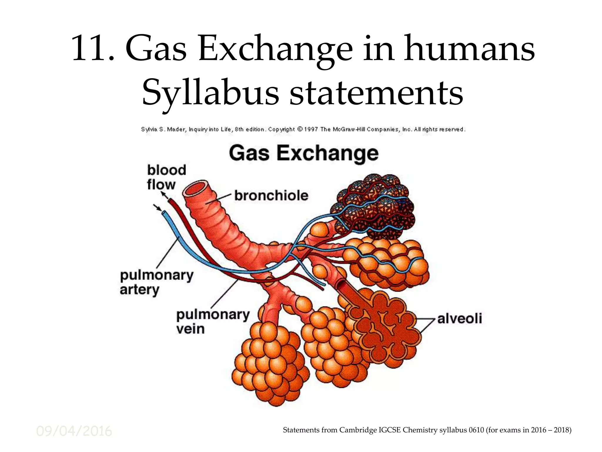 09/04/2016
11. Gas Exchange in humans
Syllabus statements
Statements from Cambridge IGCSE Chemistry syllabus 0610 (for exams in 2016 – 2018)
