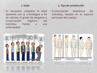 • Es necesario comparar la edad
aparente con la cronológica a fin
de calcular el grado de desgaste o
conservación orgánica del
individuo frente a una
enfermedad.
• Conformación anatómica del
individuo, basada en el aspecto
particular del cuerpo.
2. Edad 3. Tipo de constitución
 