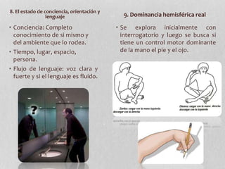 • Conciencia: Completo
conocimiento de si mismo y
del ambiente que lo rodea.
• Tiempo, lugar, espacio,
persona.
• Flujo de lenguaje: voz clara y
fuerte y si el lenguaje es fluido.
• Se explora inicialmente con
interrogatorio y luego se busca si
tiene un control motor dominante
de la mano el pie y el ojo.
8. El estado de conciencia, orientación y
lenguaje 9. Dominancia hemisférica real
 