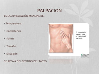 PALPACION
ES LA APRECIACIÓN MANUAL DE:
• Temperatura
• Consistencia
• Forma
• Tamaño
• Situación
SE APOYA DEL SENTIDO DEL TACTO
 