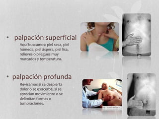 • palpación superficial
• palpación profunda
Aquí buscamos: piel seca, piel
húmeda, piel áspera, piel lisa,
relieves o pliegues muy
marcados y temperatura.
Revisamos si se despierta
dolor o se exacerba, si se
aprecian movimiento o se
delimitan formas o
tumoraciones.
 