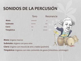 SONIDOS DE LA PERCUSIÓN
Tono Resonancia
Mate +++++ +
Submate ++++ ++
Claro ++ +++
Timpánico + ++++
Mate: órgano macizo
Submate: órgano con poco aire
Claro: órgano con mezcla de aire y tejido (pulmón)
Timpánico: órganos con más contenido de gases (intestinos, estómago)
 