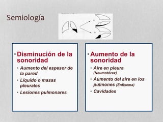 •Disminución de la
sonoridad
• Aumento del espesor de
la pared
• Líquido o masas
pleurales
• Lesiones pulmonares
•Aumento de la
sonoridad
• Aire en pleura
(Neumotórax)
• Aumento del aire en los
pulmones (Enfisema)
• Cavidades
Semiología
 