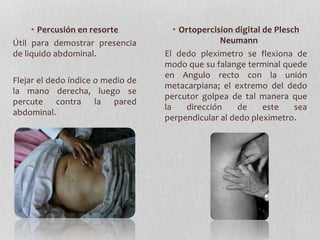 • Percusión en resorte
Útil para demostrar presencia
de liquido abdominal.
Flejar el dedo índice o medio de
la mano derecha, luego se
percute contra la pared
abdominal.
• Ortopercision digital de Plesch
Neumann
El dedo pleximetro se flexiona de
modo que su falange terminal quede
en Angulo recto con la unión
metacarpiana; el extremo del dedo
percutor golpea de tal manera que
la dirección de este sea
perpendicular al dedo pleximetro.
 