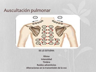 Auscultación pulmonar
SE LE ESTUDIA:
Ritmo
Intensidad
Timbre
Ruidos adventicios
Alteraciones en la transmisión de la voz
 