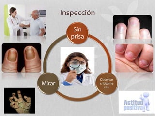 Inspección
Sin
prisa
Observar
críticame
nte
Mirar
 