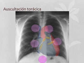 Auscultación torácica
 