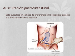Auscultación gastrointestinal
• Esta auscultación se hace de preferencia en la fosa iliaca derecha
a la altura de la válvula ileocecal
 