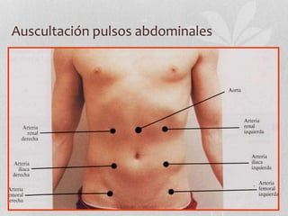 Auscultación pulsos abdominales
 