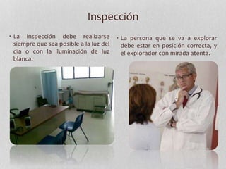 Inspección
• La inspección debe realizarse
siempre que sea posible a la luz del
día o con la iluminación de luz
blanca.
• La persona que se va a explorar
debe estar en posición correcta, y
el explorador con mirada atenta.
 