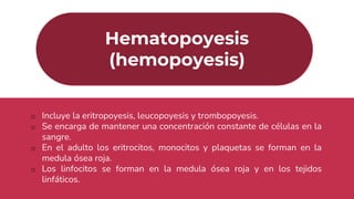 Hematopoyesis
(hemopoyesis)
o Incluye la eritropoyesis, leucopoyesis y trombopoyesis.
o Se encarga de mantener una concentración constante de células en la
sangre.
o En el adulto los eritrocitos, monocitos y plaquetas se forman en la
medula ósea roja.
o Los linfocitos se forman en la medula ósea roja y en los tejidos
linfáticos.
 