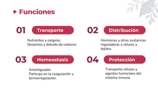 01 02
03 04
Funciones
Transporte
Nutrientes y oxigeno.
Desechos y dióxido de carbono.
Distribución
Hormonas y otras sustancias
reguladoras a células y
tejidos.
Homeostasis
Amortiguador.
Participa en la coagulación y
termorregulación.
Protección
Transporta células y
agentes humorales del
sistema inmune.
 