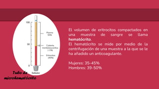 El volumen de eritrocitos compactados en
una muestra de sangre se llama
hematócrito.
El hematócrito se mide por medio de la
centrifugación de una muestra a la que se le
ha añadido un anticoagulante.
Mujeres: 35-45%
Hombres: 39-50%
Plasma
55%
Cubierta
tromboleucocítica
(-1%)
Eritrocitos
(45%)
Tubo de
microhematócrito
 