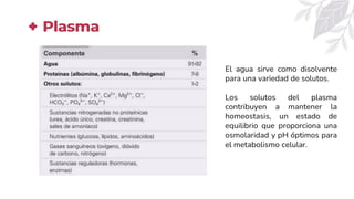 Plasma
El agua sirve como disolvente
para una variedad de solutos.
Los solutos del plasma
contribuyen a mantener la
homeostasis, un estado de
equilibrio que proporciona una
osmolaridad y pH óptimos para
el metabolismo celular.
 