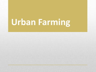 Urban Farming
 