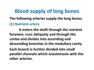 Blood supply of long bones
The following arteries supply the long bones.
(1) Nutrient artery
It enters the shaft through the nutrient
foramen, runs obliquely and through the
cortex and divides into ascending and
descending branches in the medullary cavity.
Each branch is further divided into small
parallel channels which anastomosis with the
other arteries.
 
