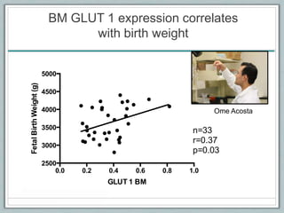 BM GLUT 1 expression correlates
with birth weight
GLUT 1 BM
FetalBirthWeight(g)
0.0 0.2 0.4 0.6 0.8 1.0
2500
3000
3500
4000
4500
5000
n=33
r=0.37
p=0.03
Ome Acosta
 