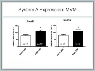 System A Expression: MVM
SNAT2 SNAT4
n=10 n=12 n=10 n=12
 