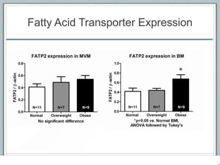 Fatty Acid Transporter Expression
 
