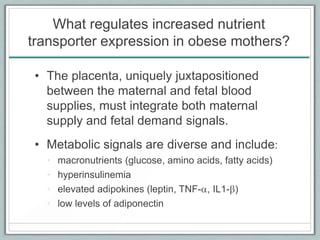What regulates increased nutrient
transporter expression in obese mothers?
• The placenta, uniquely juxtapositioned
between the maternal and fetal blood
supplies, must integrate both maternal
supply and fetal demand signals.
• Metabolic signals are diverse and include:
• macronutrients (glucose, amino acids, fatty acids)
• hyperinsulinemia
• elevated adipokines (leptin, TNF-a, IL1-b)
• low levels of adiponectin
 