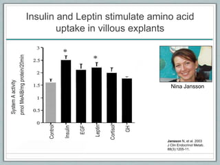 Insulin and Leptin stimulate amino acid
uptake in villous explants
Jansson N, et al. 2003
J Clin Endocrinol Metab.
88(3):1205-11.
Nina Jansson
 