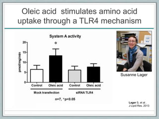 Oleic acid stimulates amino acid
uptake through a TLR4 mechanism
Lager S, et al .
J Lipid Res. 2013
Susanne Lager
 
