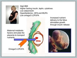 High BMI
Higher fasting insulin, leptin, cytokines
Low adiponectin
Hyperlipidemia –SFA and MUFA
Low omega3 LCPUFA
Maternal metabolic
factors stimulate the
placenta to transport
nutrients
Increased nutrient
delivery to the fetus
stimulates growth
through insulin release
Omega3 LCPUFA
 