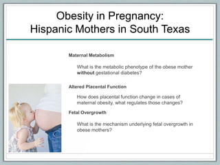 Obesity in Pregnancy:
Hispanic Mothers in South Texas
Maternal Metabolism
What is the metabolic phenotype of the obese mother
without gestational diabetes?
Altered Placental Function
How does placental function change in cases of
maternal obesity, what regulates those changes?
Fetal Overgrowth
What is the mechanism underlying fetal overgrowth in
obese mothers?
 