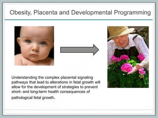 Obesity, Placenta and Developmental Programming
Understanding the complex placental signaling
pathways that lead to alterations in fetal growth will
allow for the development of strategies to prevent
short- and long-term health consequences of
pathological fetal growth.
 