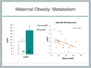 Maternal Obesity: Metabolism
0
5
10
15
20
25
30
35
40
45
50
Leptin
ng/ml
Normal BMI
High BMI
* R² = 0.176
0
1
2
3
4
5
6
7
15 25 35 45 55
mg/ml
Maternal BMI
High Mol Wt Adiponectin
25 48
 