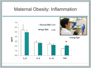 Maternal Obesity: Inflammation
0.0
1.0
2.0
3.0
4.0
5.0
6.0
7.0
IL-6 IL-8 IL-1b TNF
pg/ml
Normal BMI
High BMI
*
Irving Aye
n=25
n=48
 