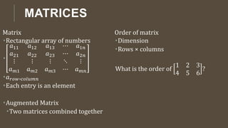 11th MATRICES PPT.pptx